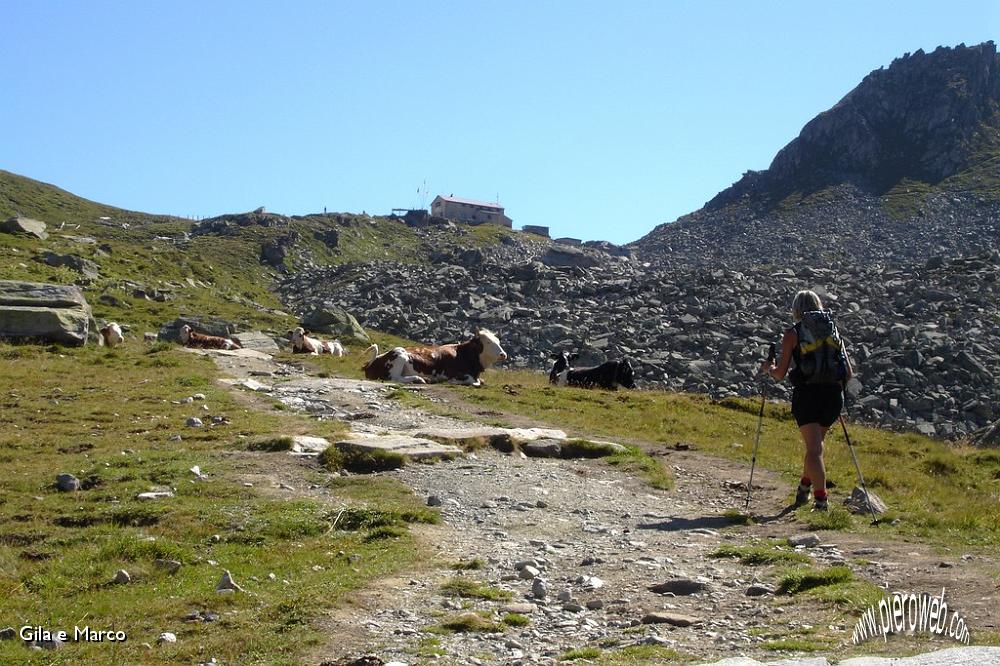 1- Alta Via di Neves Rif. Porro.jpg